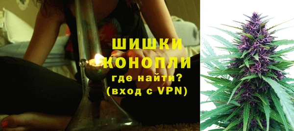 дурь Рославль