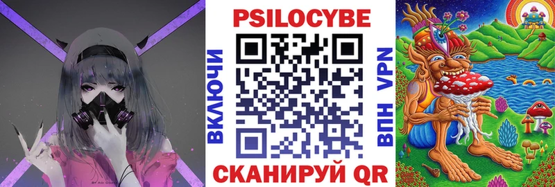 Псилоцибиновые грибы мицелий купить наркотик hydra зеркало Зеленокумск